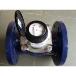 ĐỒNG HỒ SENSUS - DN100                 