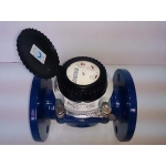 ĐỒNG HỒ SENSUS - DN50                 