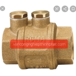                       VAN 1 CHIỀU ROMA - Italy                 