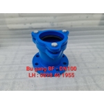                       BÙ GANG BF ( MANCHON GANG BF )                 