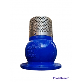                       VAN ĐÁY (LUPPE) MẶT BÍCH                 